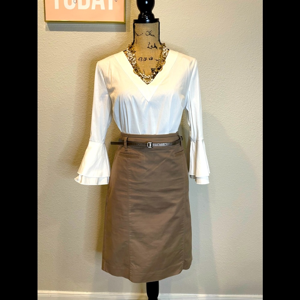 Ann Taylor Skirt